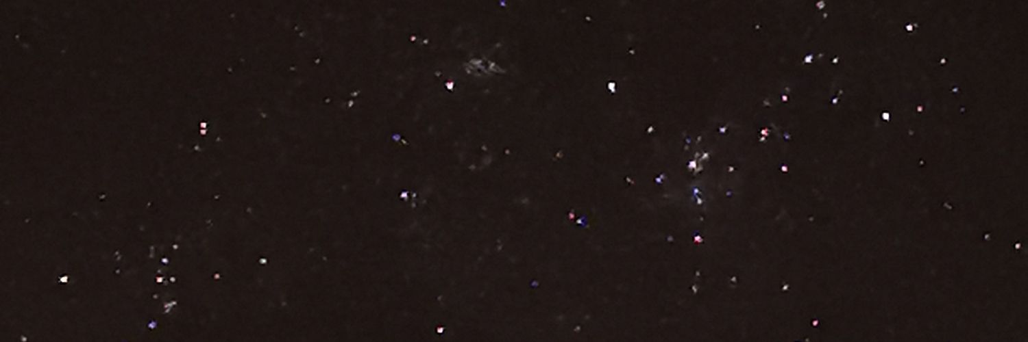 Waffle Dude banner