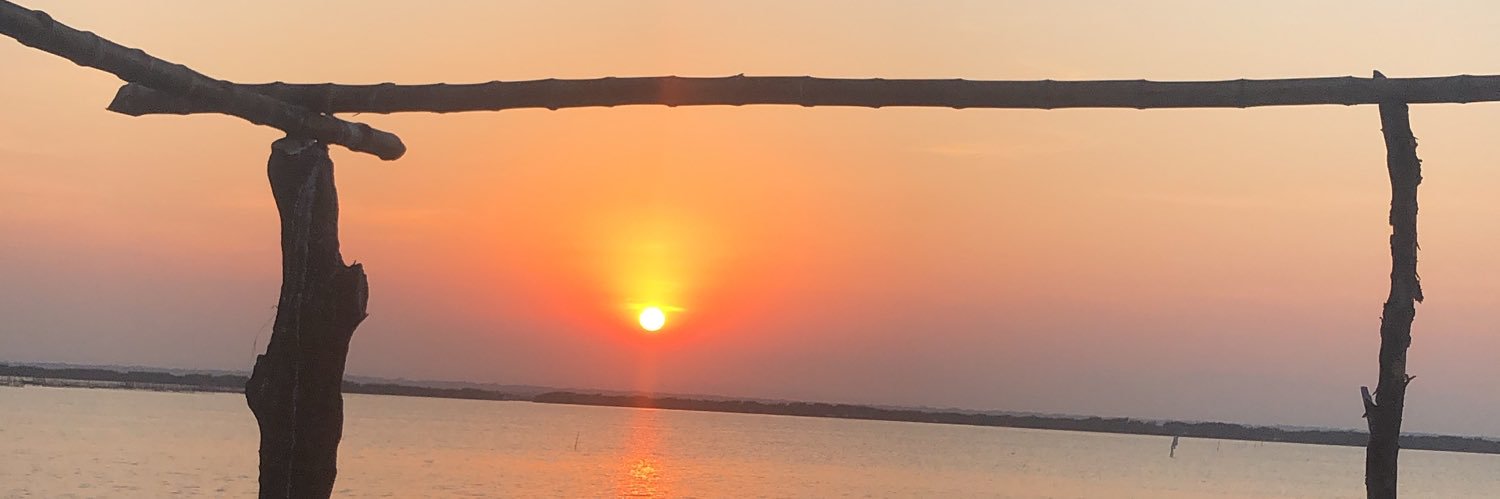 ArroyoIsaa's profile banner image