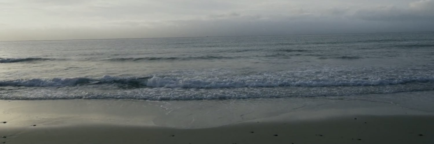 Hazelnut_4B's profile banner image