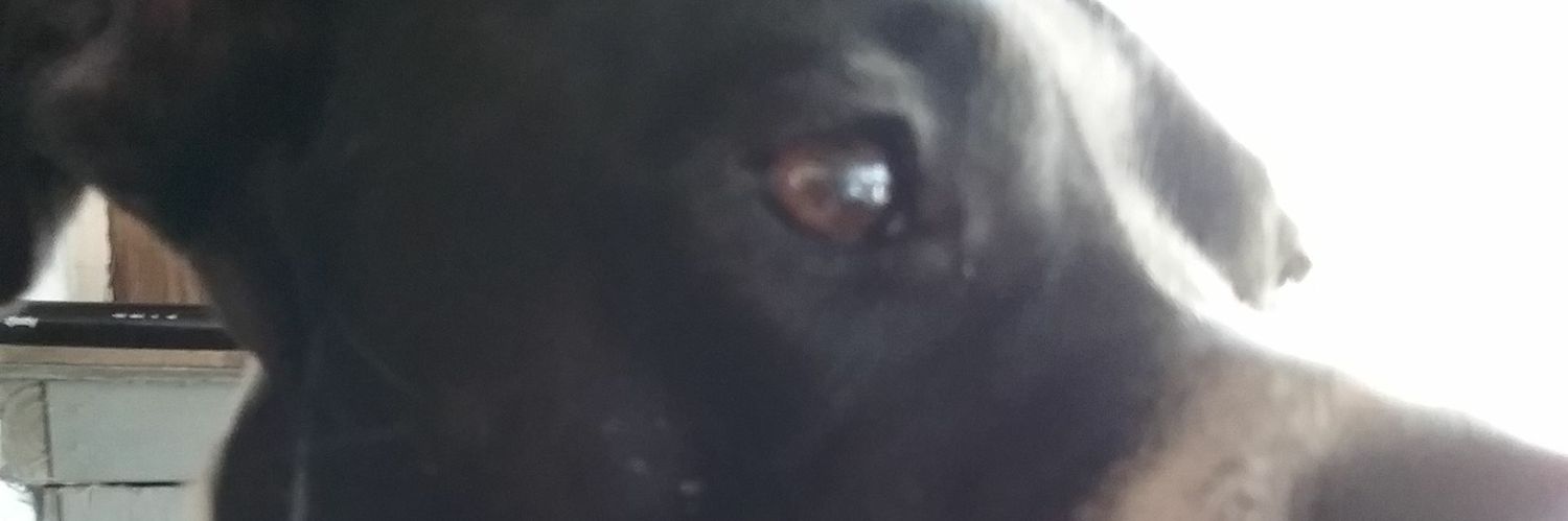 nativeson44's profile banner image