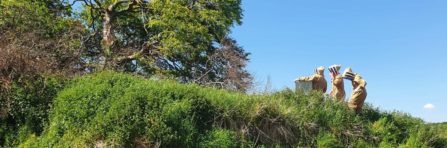 GarryLohan's profile banner image