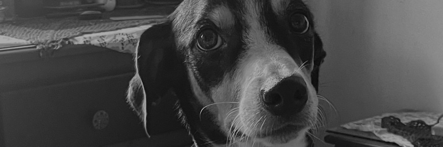 T banner