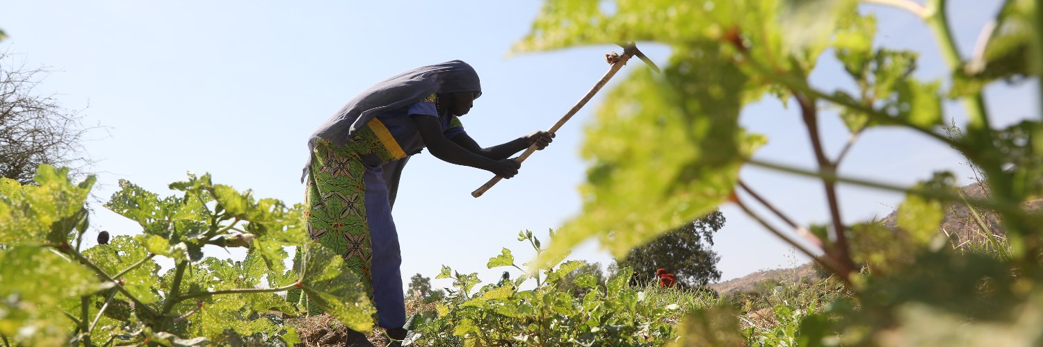 WFP_Chad Profile Banner