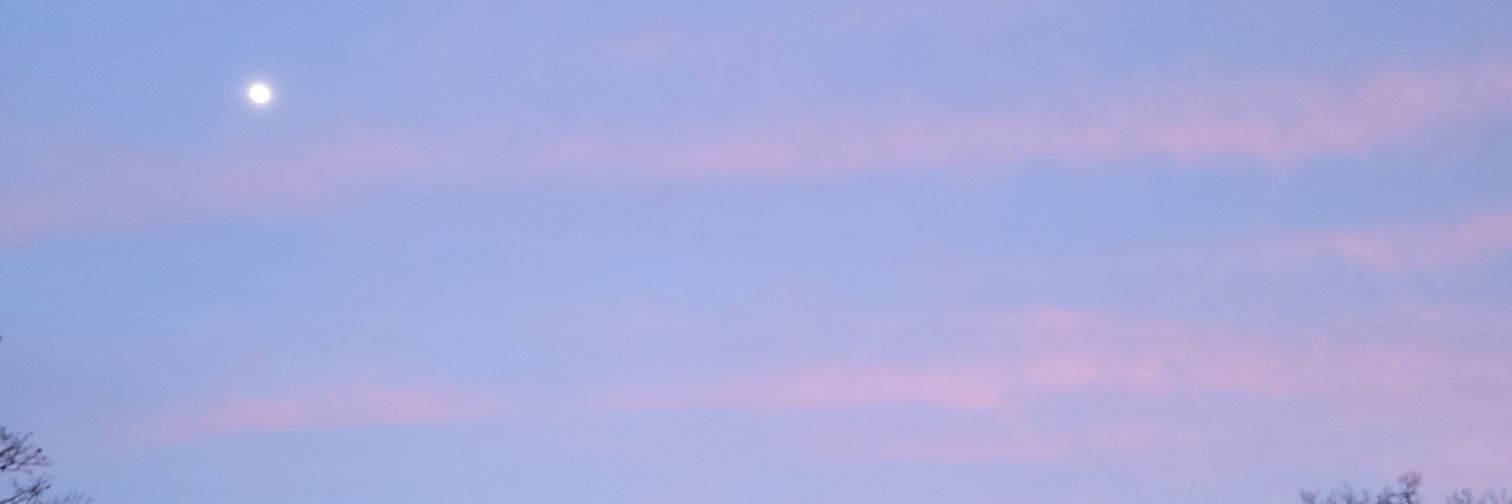 mamakrid's profile banner image