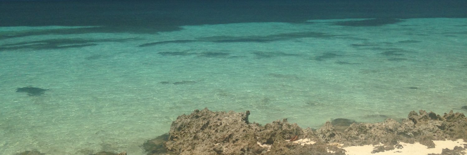 Volví a ser Manuler banner