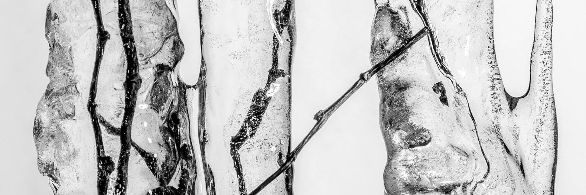 litnmedia's profile banner image
