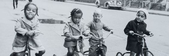 Fanfino 🚲🌱🐘 banner