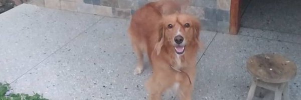 ElPicture Profile Banner