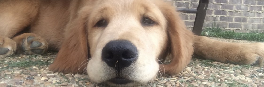 Kellilannom's profile banner image