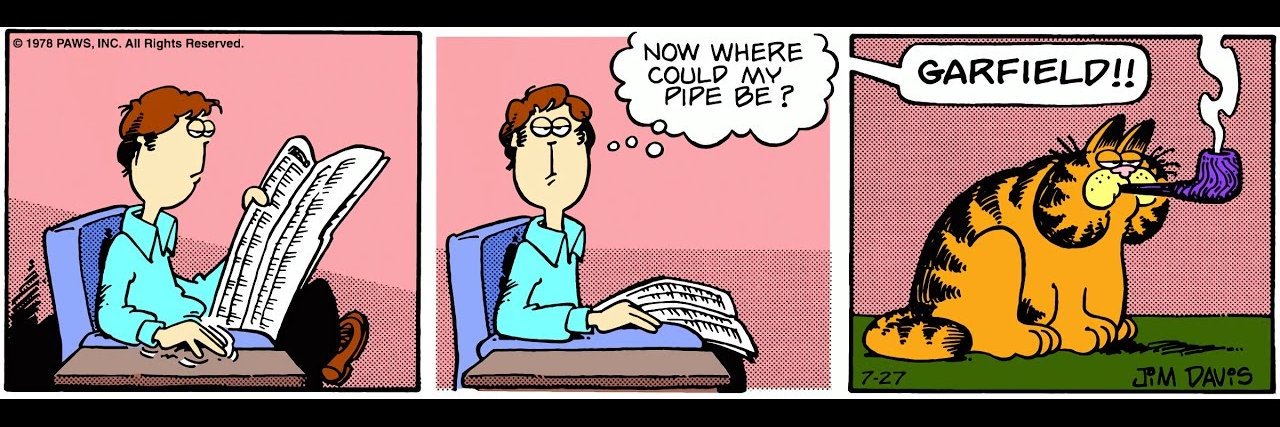 idiot sandwich 🇵🇷🥭🍉 banner