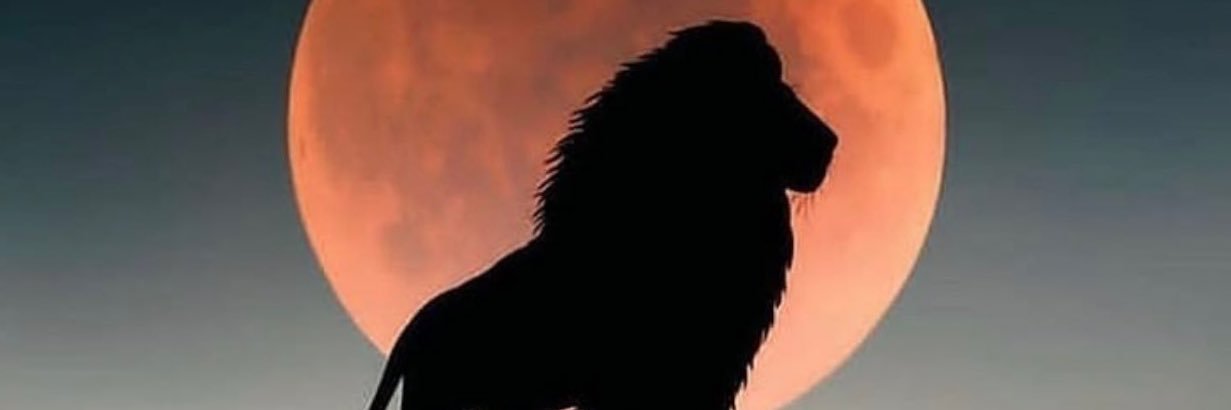 majed_faisal's profile banner image