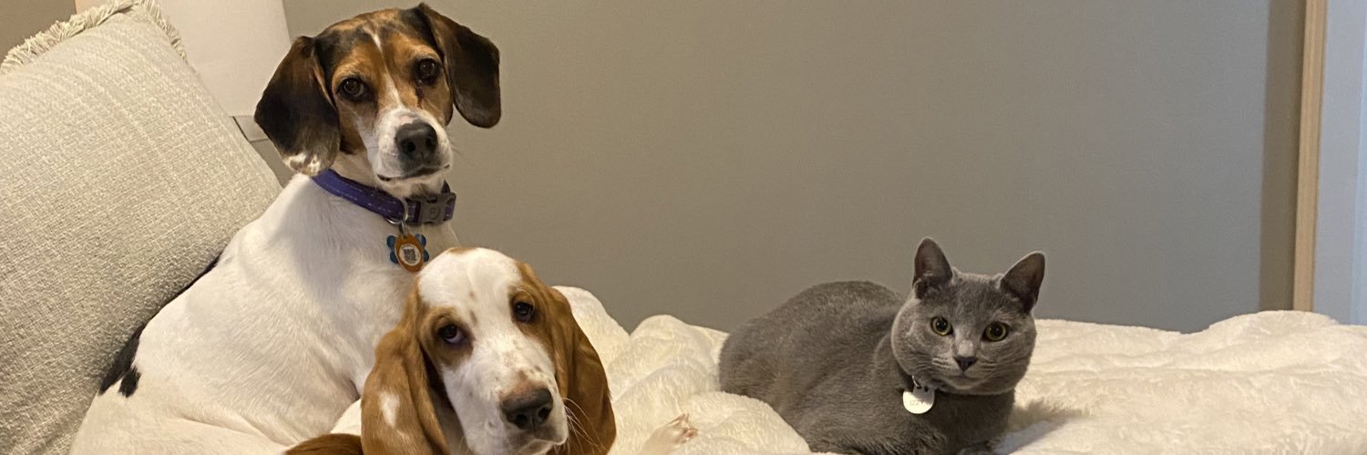 maggiee_baker's profile banner image