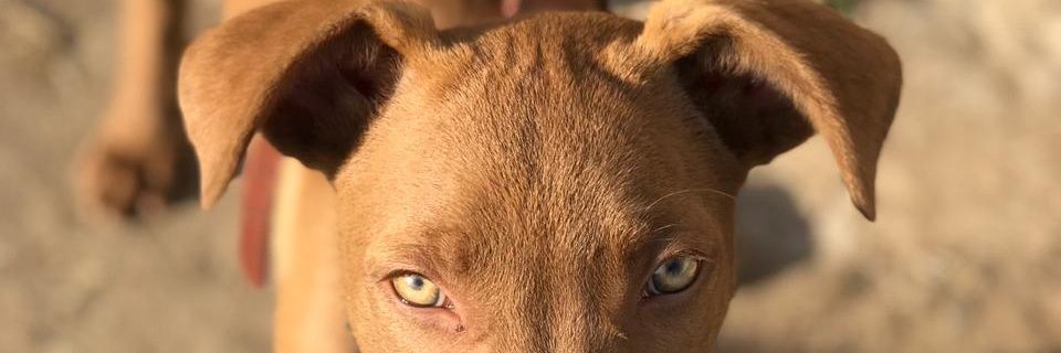_Kasivu's profile banner image