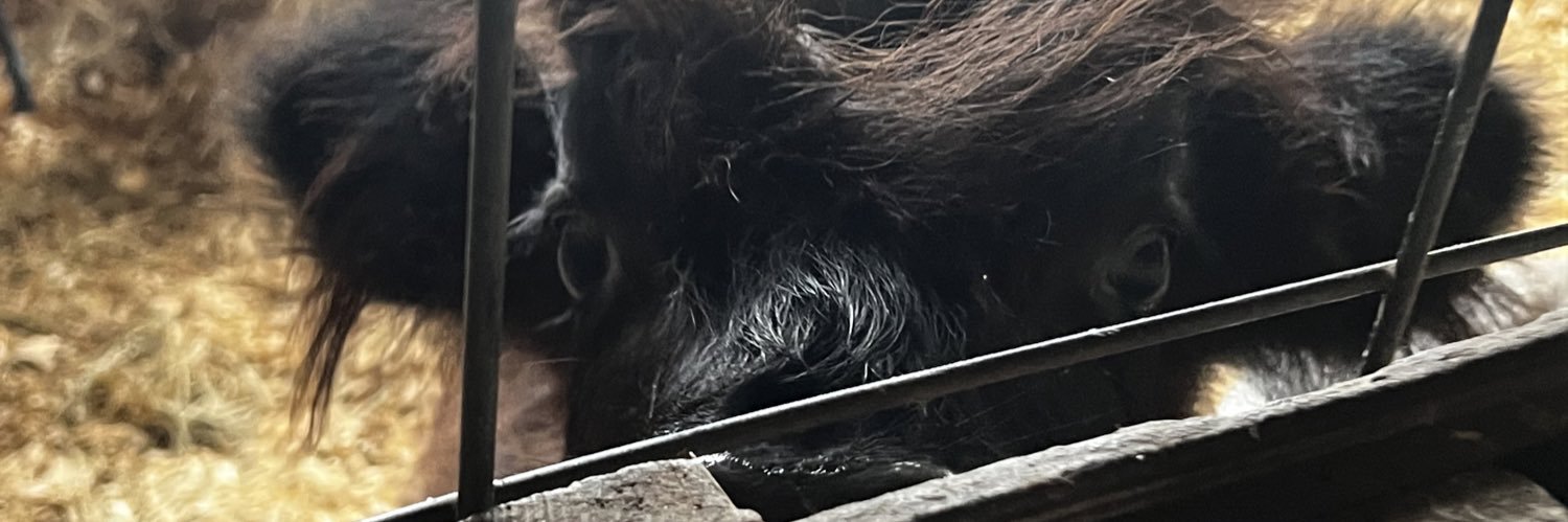 Kristian Haggerty banner