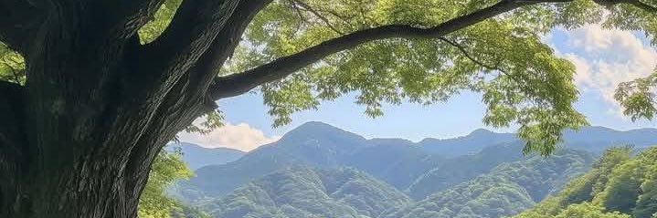 yinkajenae's profile banner image
