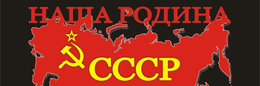 Игорь Александров ☭'s banner