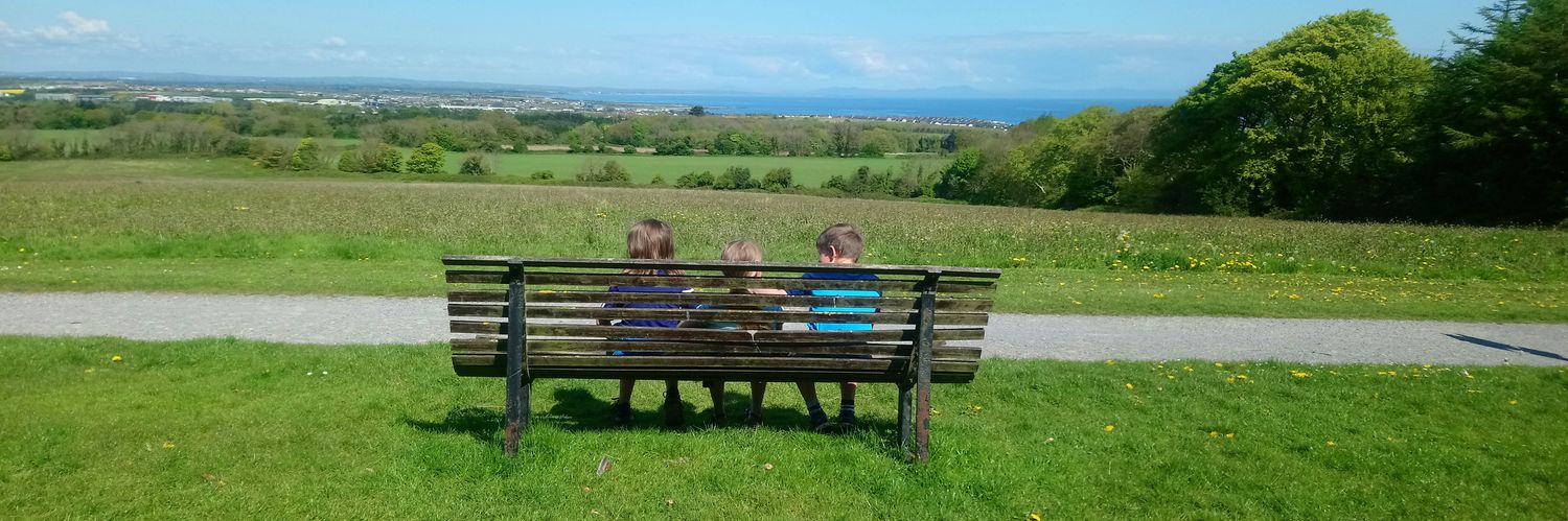 Aisling O' Keeffe banner