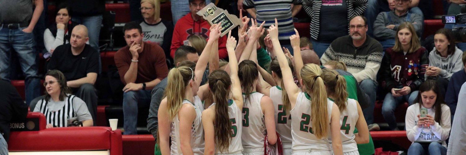 Lady Dragon Hoops banner