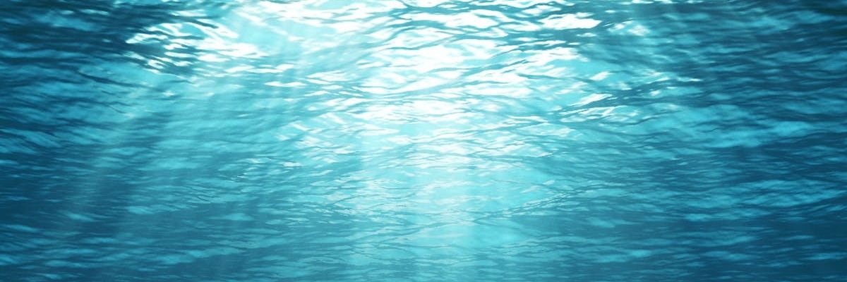 Rusalchitza's profile banner image