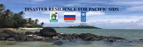 RESPACatUNDP Profile Banner