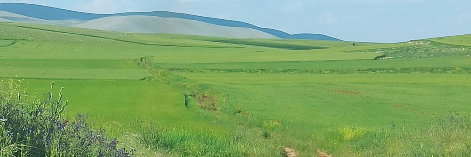 cemilsan1's profile banner image