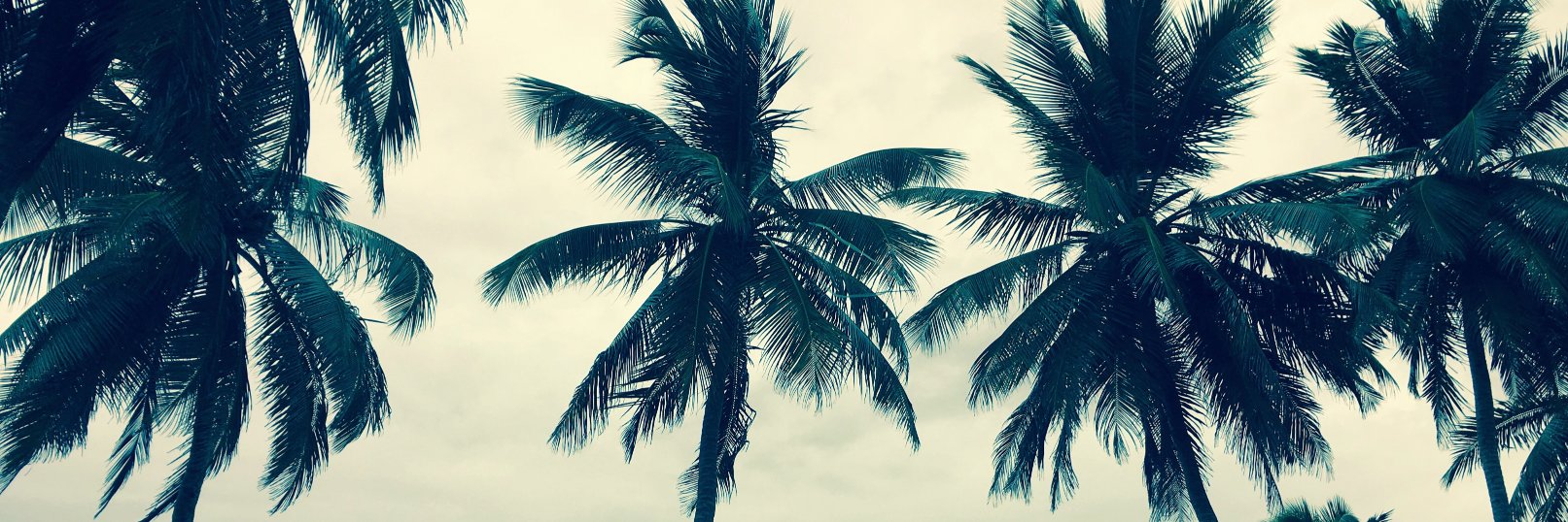 Dominican Princess 🇩🇲🇱🇨✨ banner