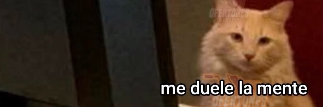 contiguima28's profile banner image