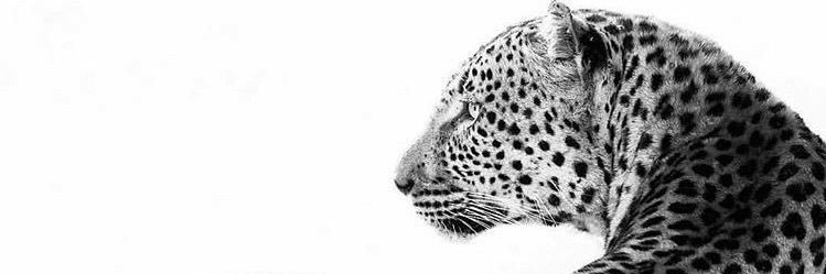 SarahA0990's profile banner image