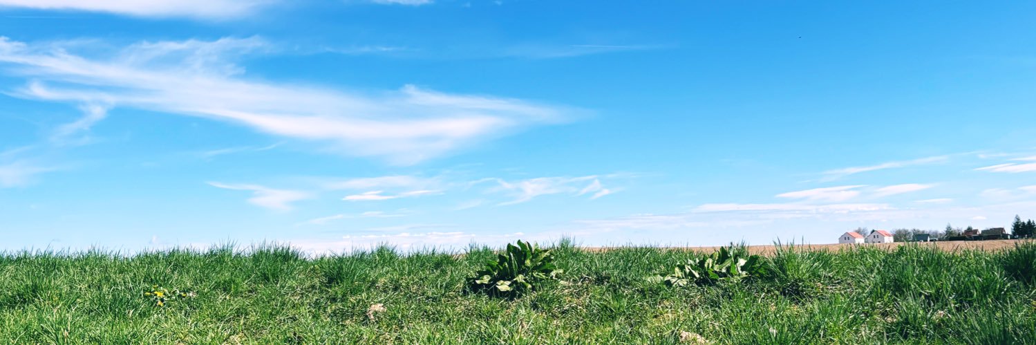 tbsc0's profile banner image