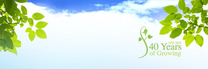 EgosGarden's profile banner image