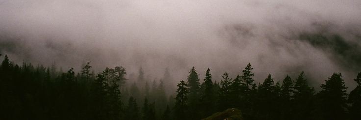 vvarulf's profile banner image