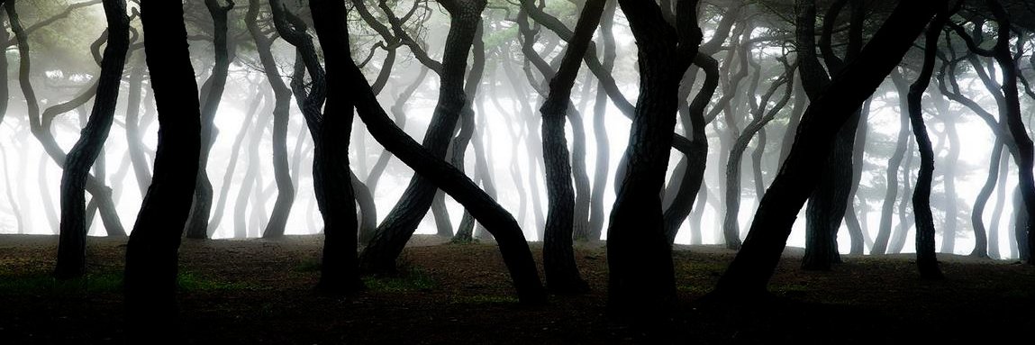 RowanGreene's profile banner image