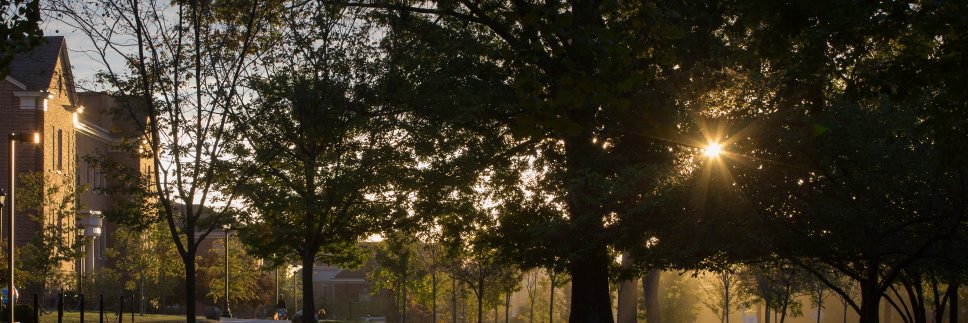 Miami University Humanities Center banner