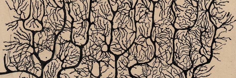 csf_sommelier's profile banner image