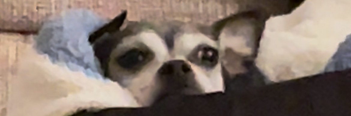 JordanKleffner's profile banner image