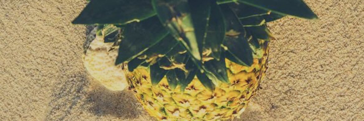 beepea06's profile banner image