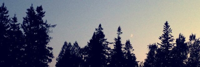 davidsonalicia's profile banner image