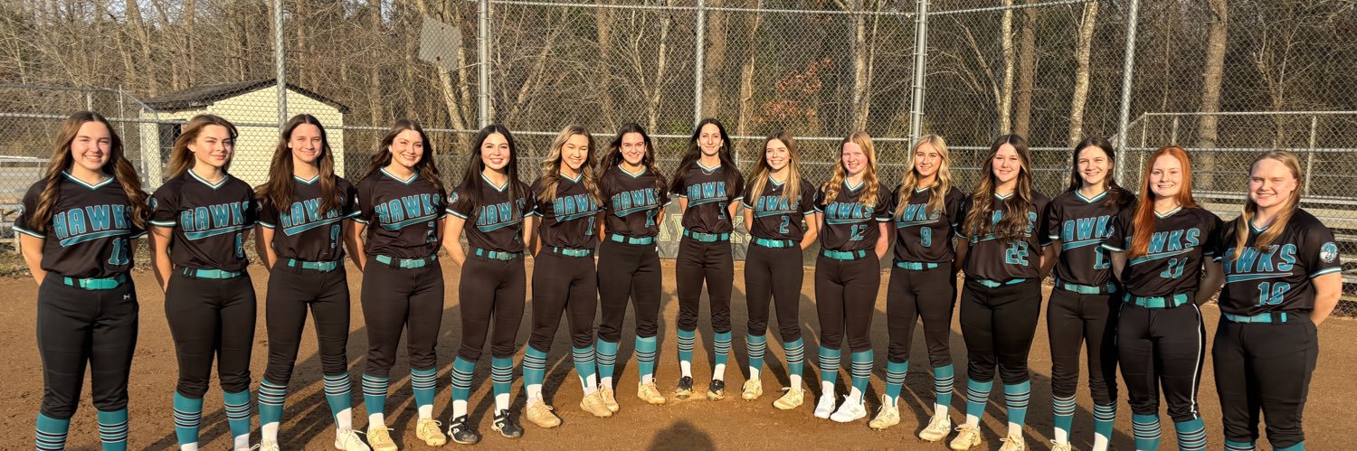 Hickory Hawks Softball banner