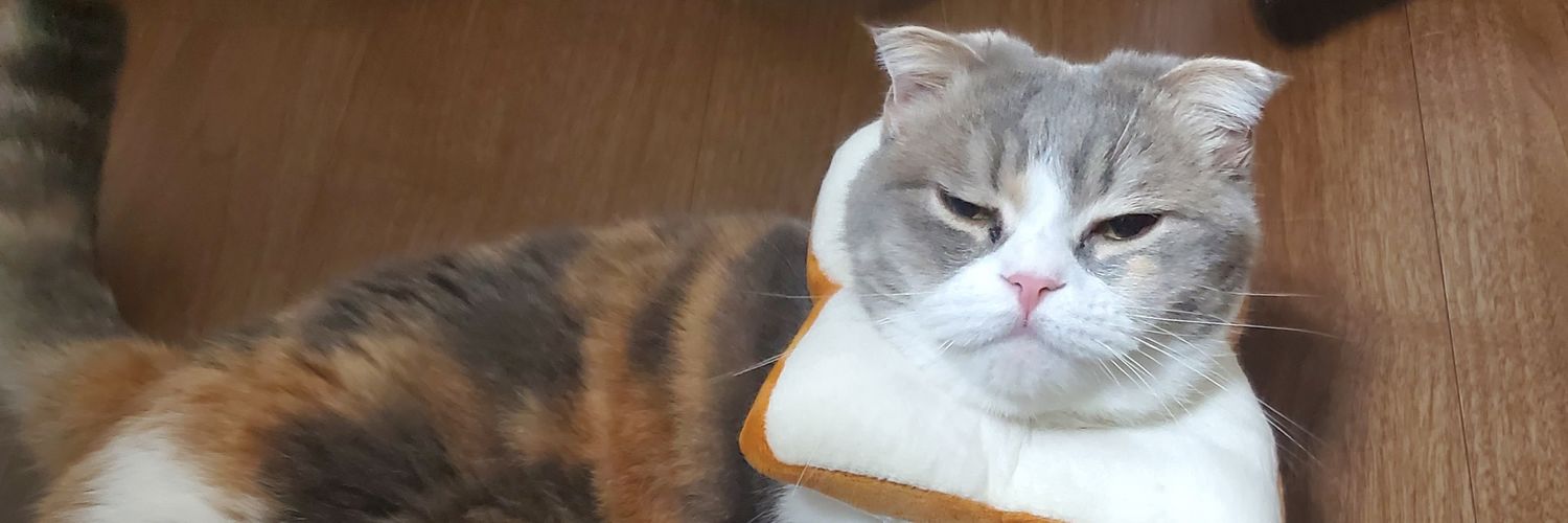 蘭堂虎太郎/ランプキン banner