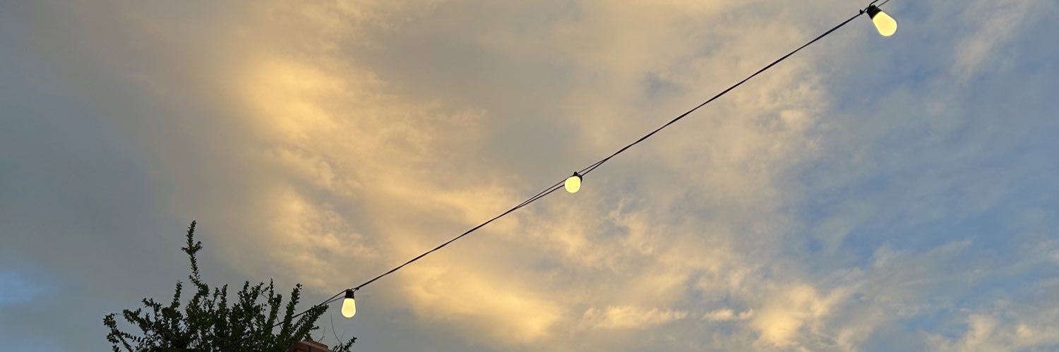 areeelii_'s profile banner image