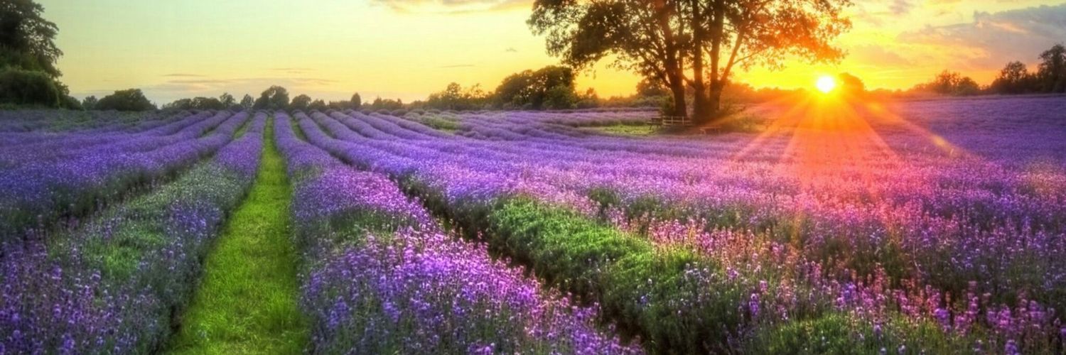 RachelB21347414's profile banner image