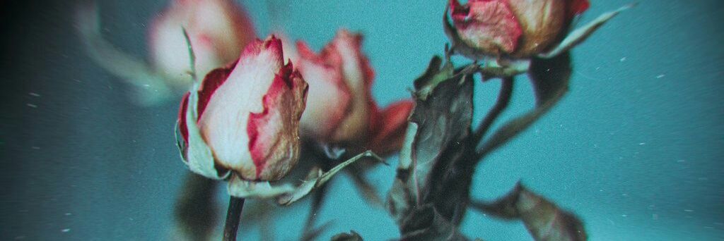Doorsiana's profile banner image