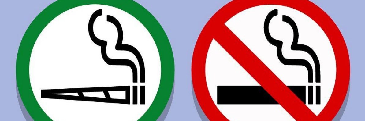 Dann D´Lucio banner