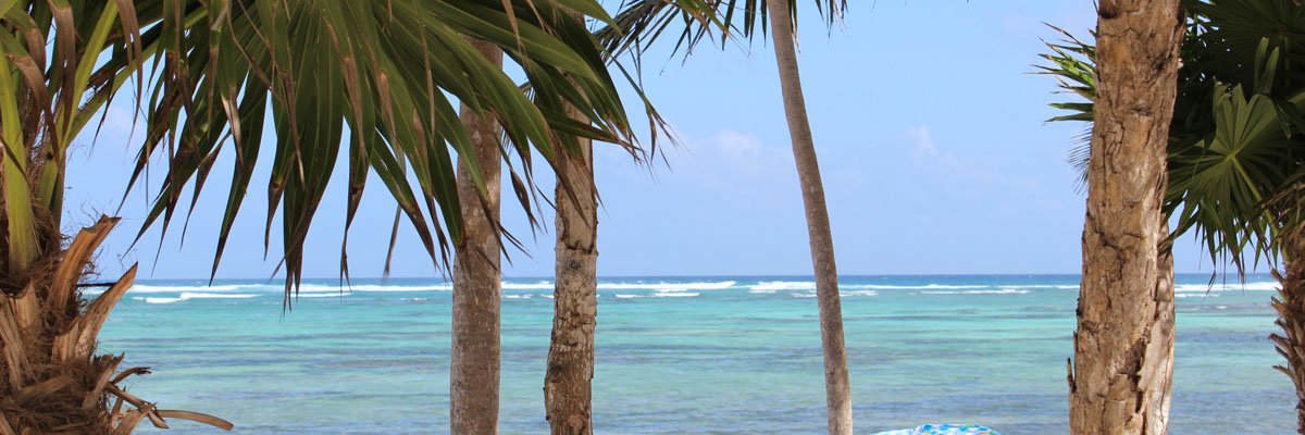 stinatulum's profile banner image