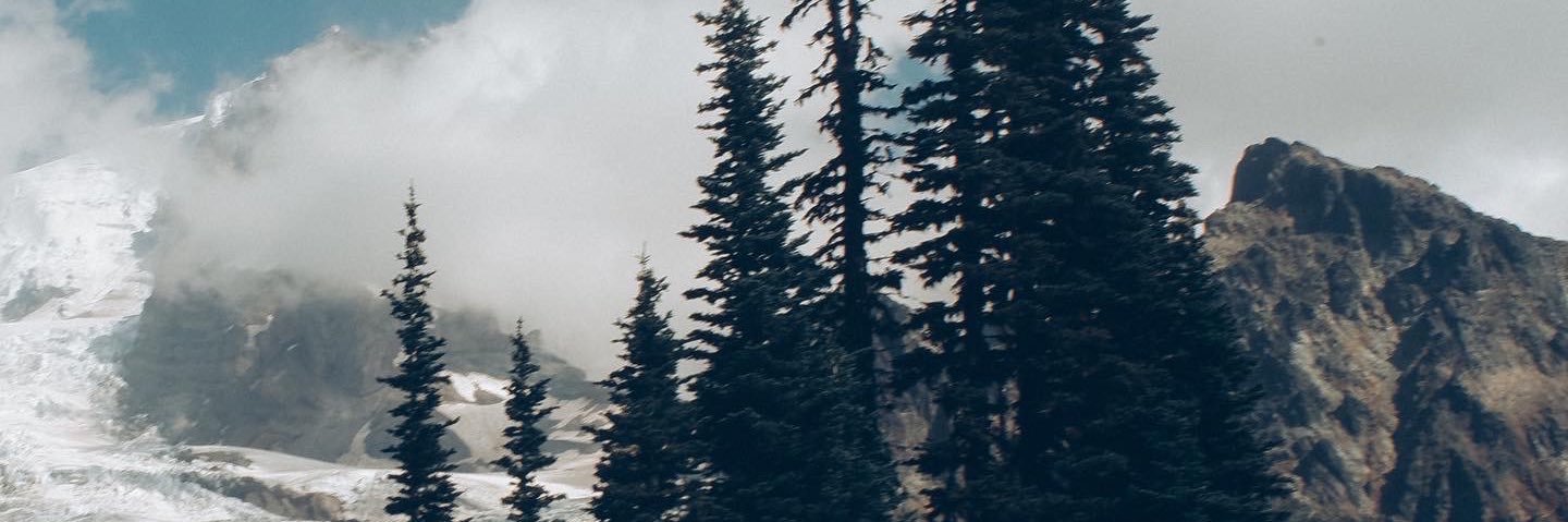 caithrin's profile banner image