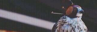 Hajs_92's profile banner image
