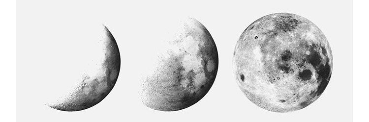 Justyce Duffield banner