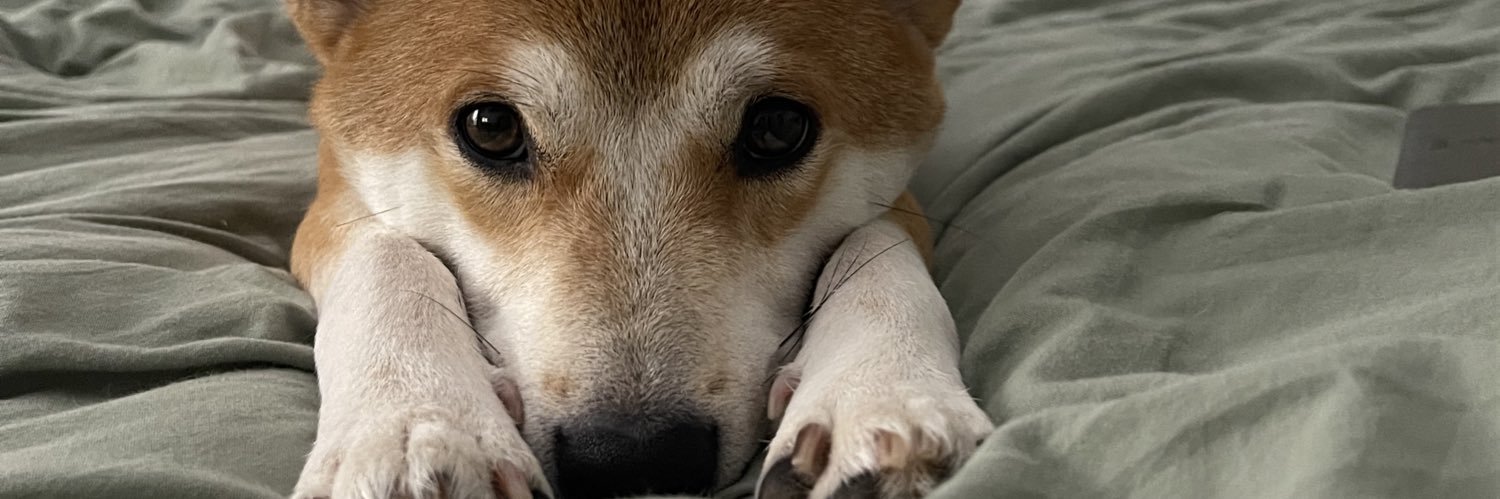 michelllewang's profile banner image