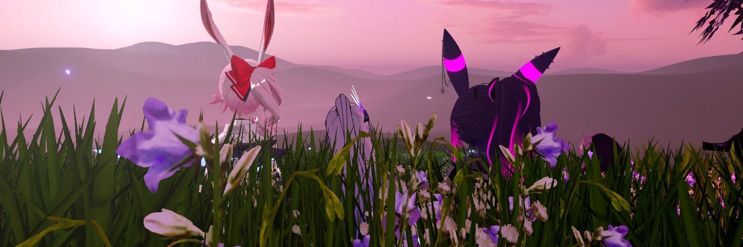 Willowawaii banner