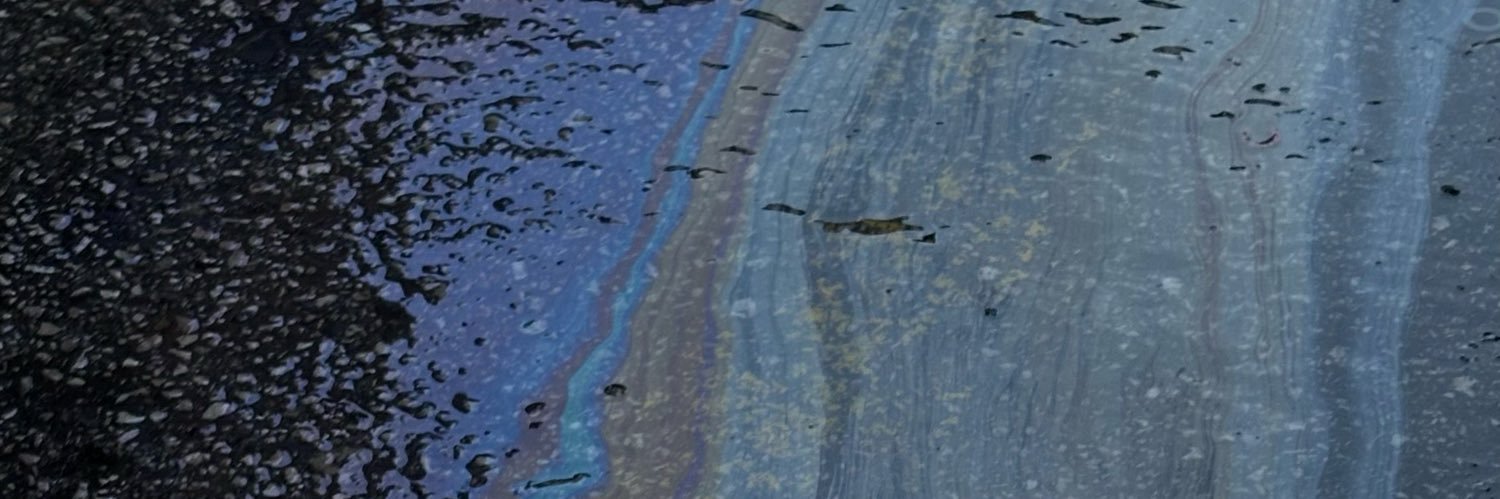 ekinoks___'s profile banner image